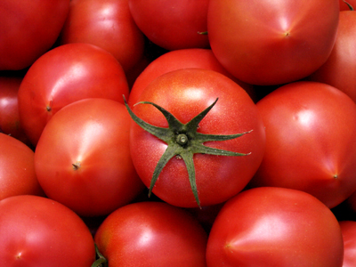 D0010066tomatoweb.jpg