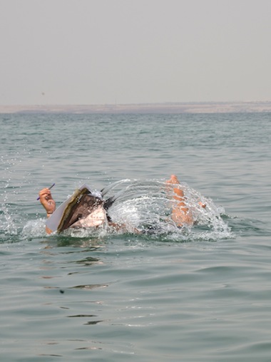 DSC_3525.jpg