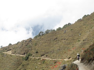 IMG_1763.JPG