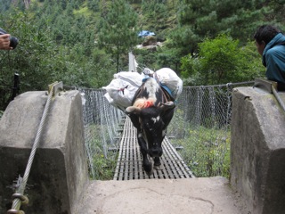 IMG_1789.JPG