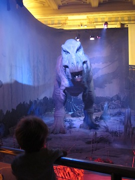IMG_2705.jpg