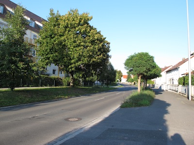 IMG_8165.JPG
